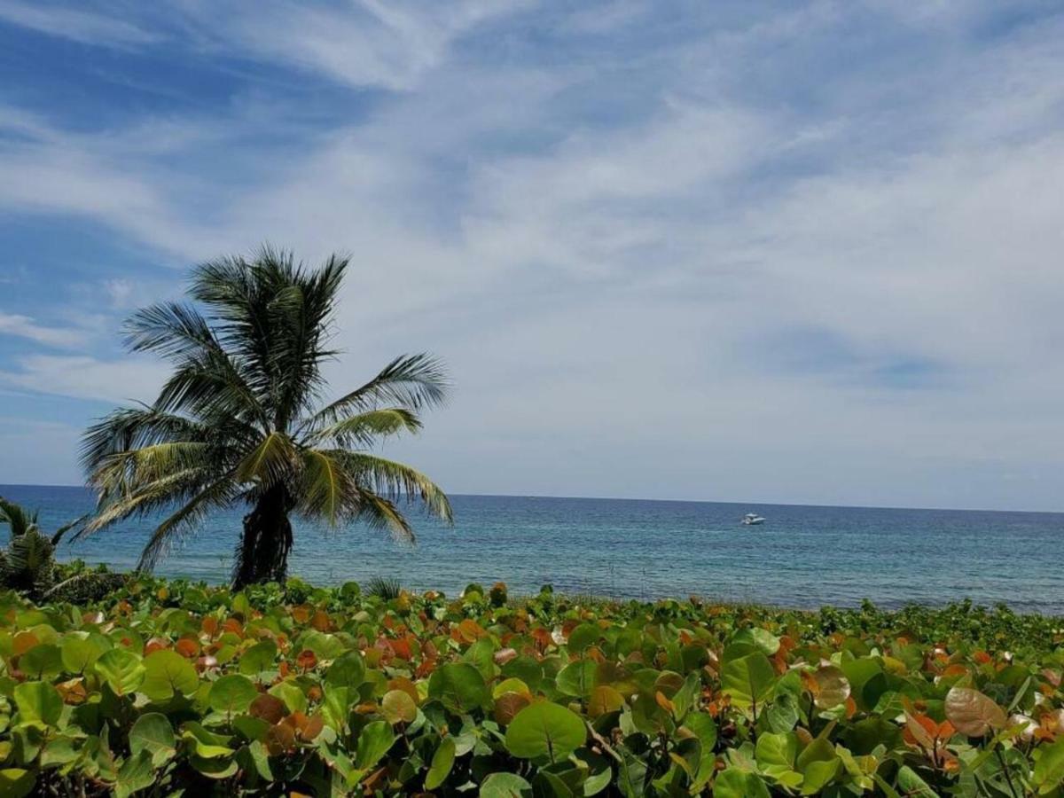 Beautiful Spacious And Luxury Delray Beach House! Near The Beach! Buitenkant foto